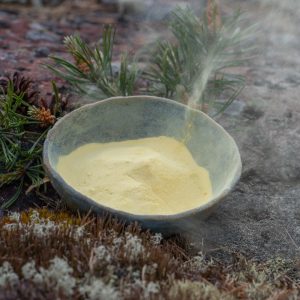 Finpine Pine Pollen Tincture